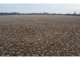 Property photo 8 - LAND AUCTION, 77 Acres offered in 3 Tracts